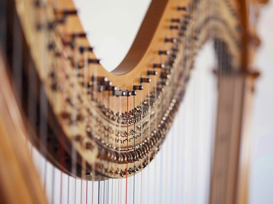 Harp in perspective -K&M Music School Music Lessons for Kids and Adults in San Diego