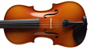 Close-up of a violin body with f-holes, bridge, and strings on a white background